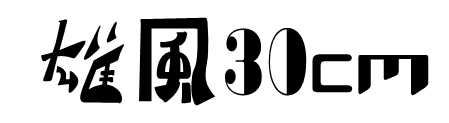 雄風30 ManPower30cm